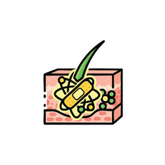 A bright and simple icon illustrates the process of skin healing, showing a hair follicle, skin cells, and a bandage with healing molecules.