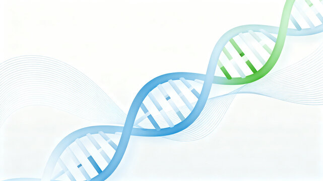 DNA double helix structure