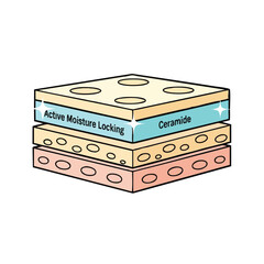 An illustration depicting the layers of skin with active moisture locking and ceramide, showcasing skincare benefits and moisturizing properties in a simple design.