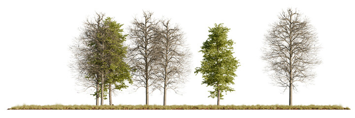 A detailed set of realistic 3D rendered trees featuring mixed leafy and bare structures, isolated on a clean white background for design and visualization use