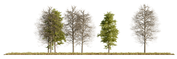 A detailed set of realistic 3D rendered trees featuring mixed leafy and bare structures, isolated on a clean white background for design and visualization use