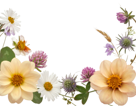 A vibrant semi-circle floral arrangement with diverse blooms, a creative design against a dark backdrop