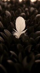 A single white feather stands out among a sea of dark feathers, creating a striking contrast and focal point in the image