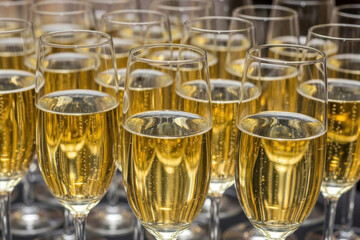 Close up shot of several rows of elegant champagne flutes filled with sparkling golden champagne