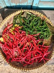 Drying Red and green chili peppers