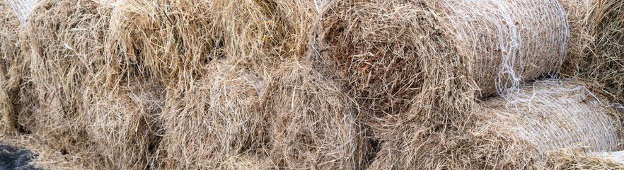 Orchard grass hay feed for farm livestock and domestic animals, small rolls of bailed and stacked for storage and sale
