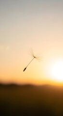 A close-up shot of a dandelion seed floating in the air against a warm sunset sky with a blurred landscape in the background