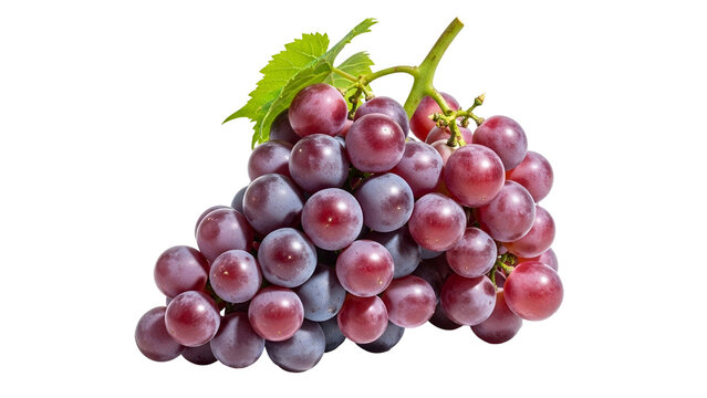 Plump, ripe crimson berries form a substantial cluster against a solid dark background.