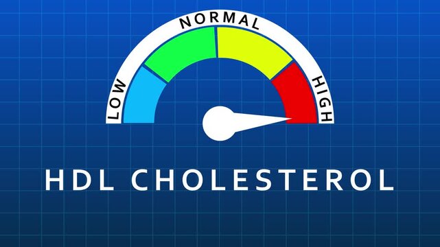 HDL Cholesterol Level Gauge Indicating Normal Range on Blue Grid Background hdl cholesterol good cholesterol