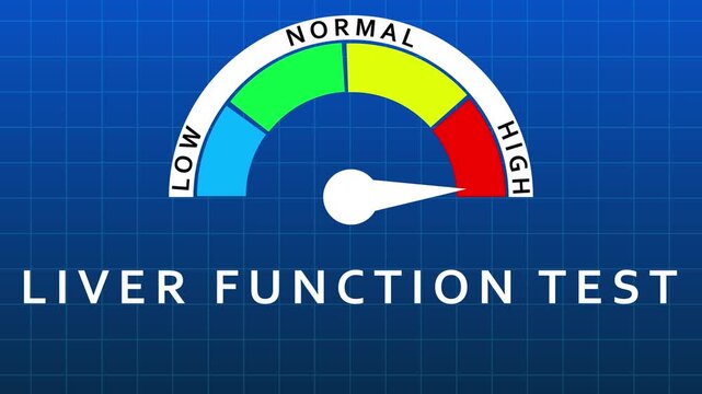 Liver Function Test Gauge Indicating Normal Range on Blue Grid Background meter