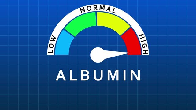 Albumin Level Gauge Showing Normal Range on Blue Grid Background meter indicator