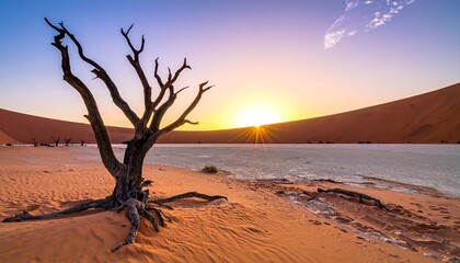 Dramatic Sunset over Deadvlei with Ancient Tree and Sand Dunes.