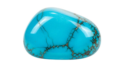 Polished opaque gemstone exhibits vibrant blue coloration with natural brown matrix webbing