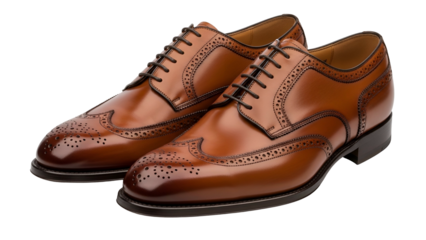 Polished leather wingtip dress shoes display intricate broguing details against a solid black background