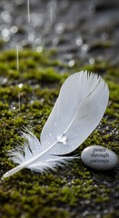 A serene scene of a white feather resting on moss with a smooth stone inscribed with the words 'peace through patience' amidst gentle raindrops falling around it