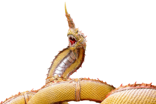 Golden naga Isolated on transparent background, Beautiful Naga statue