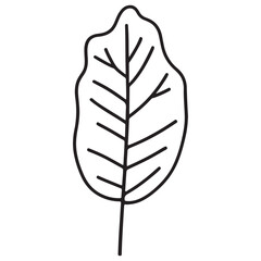 Minimalist Black Outline Leaf Design on Clean White Background