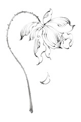Monochromatic Ink Wash Flower with Thorny Stem and Fallen Petal