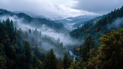 Misty Mountain Valley: Forested Hills and River Under Cloudy Sky