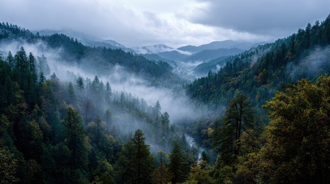 Misty Mountain Valley: Forested Hills and River Under Cloudy Sky