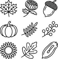 Autumn Garden Outline Icons Set  Leaves, Flowers, and Seasonal Plants