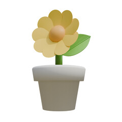 flower in pot