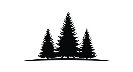Silhouette of three tall evergreen pine trees standing together on a white background