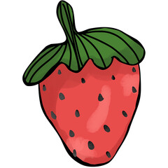 illustration of a strawberry