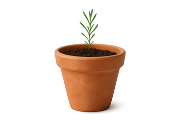 Fototapeta premium Plant seedling growing in terracotta pot with soil