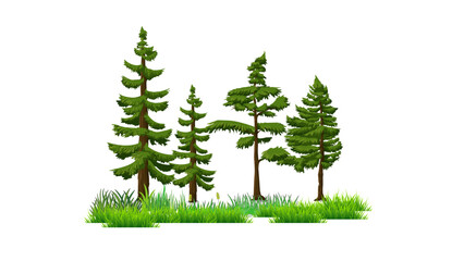 Set of evergreen green pine and fir trees vectors for winter holiday season illustrations, perfect for nature decorations
