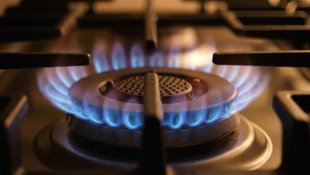 Blue pilot light igniting modern gas stove burner with circular flame spread, designed for appliance manufacturer commercials and home improvement content, targeting kitchen.