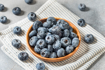 Organic Raw Big Giant Jumbo Blueberries