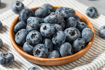 Organic Raw Big Giant Jumbo Blueberries