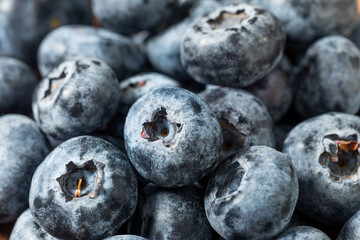 Organic Raw Big Giant Jumbo Blueberries