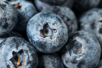 Organic Raw Big Giant Jumbo Blueberries