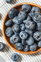 Organic Raw Big Giant Jumbo Blueberries