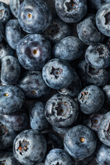 Organic Raw Big Giant Jumbo Blueberries