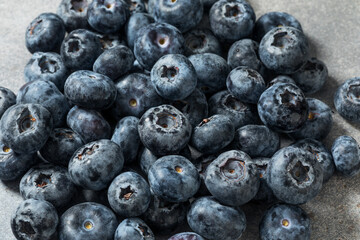 Organic Raw Big Giant Jumbo Blueberries