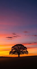 Stunning natural landscape view during golden hour twilight. Peaceful evening sky painted with warm colors and beautiful silhouettes, environment, moment, gradient