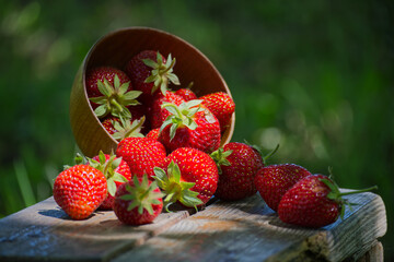 Fresh strawberries spilling from wooden bowl on rustic table in the garden