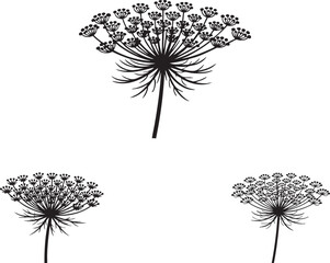 Black vector silhouette of a dandelion flower