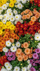 Colorful summer flowers blooming beautifully in the sunny garden, showcasing a vibrant mix of yellow, orange, and red seasonal flora
