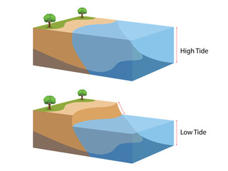High and low tides. Landscape sea with trees. water ​​level