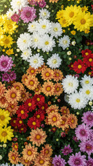 A beautiful summer bouquet of colorful daisy and chrysanthemum flowers in a vibrant spring garden pattern