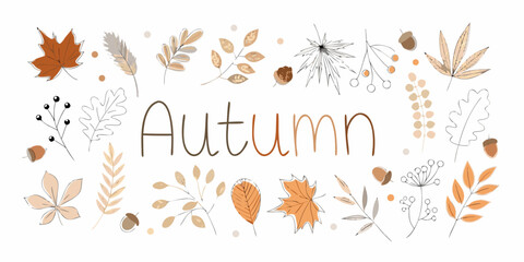 Autumn text with hand drawn leaves acorns and botanical elements in warm earthy tones