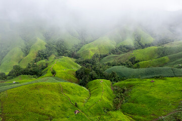 Landscape of Morning Mist with Mountain Layer at north of Thailand. mountain ridge and clouds in rural jungle bush forest