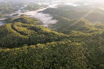Landscape of Morning Mist with Mountain Layer. mountain ridge and clouds in rural jungle bush forest