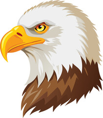 Fototapeta premium A detailed portrait of a bald eagle s head and neck plumage