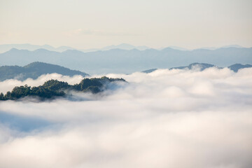 Landscape of Morning Mist with Mountain Layer. mountain ridge and clouds in rural jungle bush forest