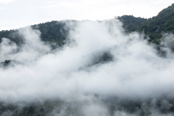 Landscape of Morning Mist with Mountain Layer. mountain ridge and clouds in rural jungle bush forest